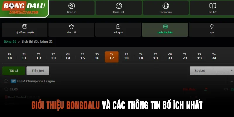 Giới thiệu Bongdalu cùng những thông tin bổ ích