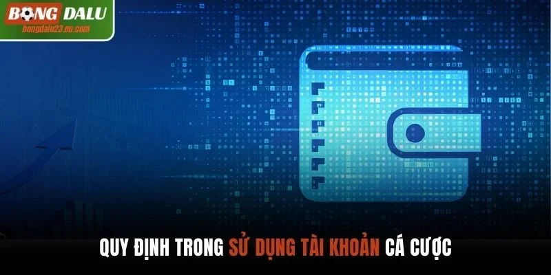 Quy định trong việc sử dụng tài khoản Bongdalu
