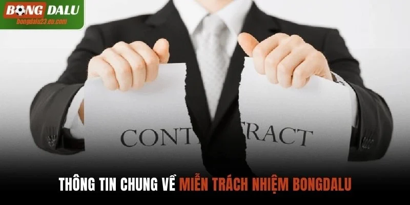 Các thông tin chung về chính sách miễn trách nhiệm