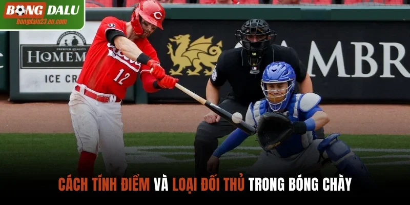 Cách tính điểm và loại đối thủ trong bóng chày