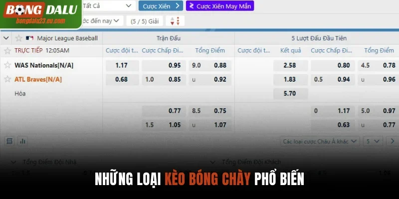 Giới thiệu những loại kèo bóng chày phổ biến