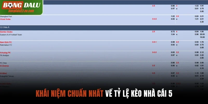 Khái niệm chuẩn nhất về tỷ lệ kèo nhà cái 5